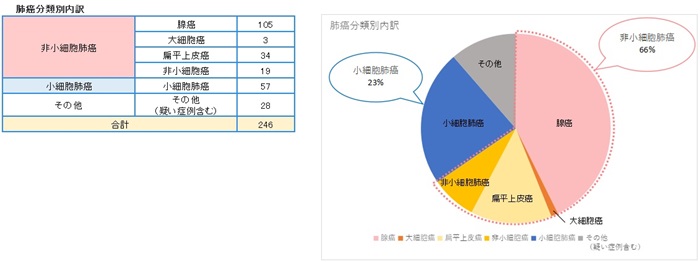 肺がん分類別内訳